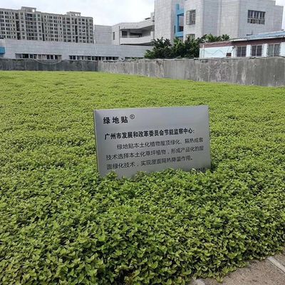 Hdpe 재료와 코팅되지 않은 마감으로 정원 꽃 냄비 플랜터
