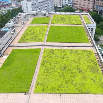 Hdpe 재료와 코팅되지 않은 마감으로 정원 꽃 냄비 플랜터