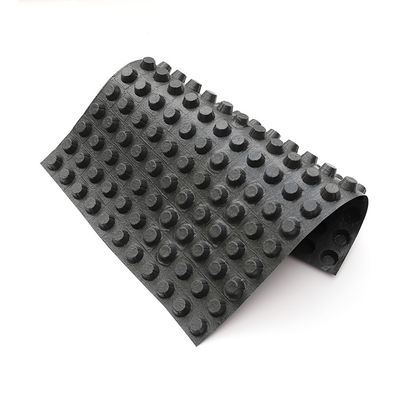 녹색 지붕 모듈 시스템 Hdpe 덤불막 배수망 매트 보드