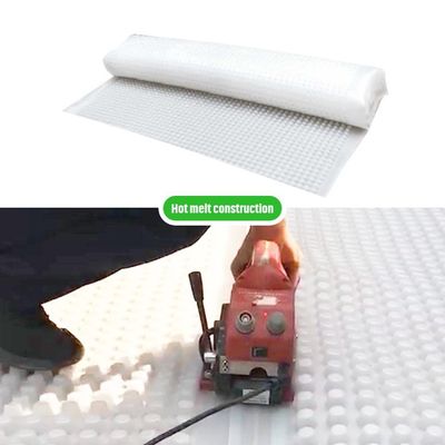 녹색 지붕 모듈 시스템 Hdpe 덤불막 배수망 매트 보드
