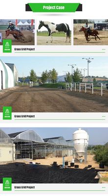 333x333x50mm 플라스틱 잔디 잔디 바닥 그리드 HDPE 말 팟 발 그리드 파워