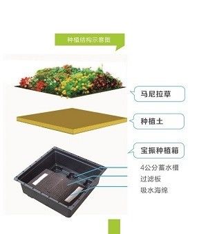 옥상 초록화 장식 정원 꽃 냄비를위한 녹색 지붕 트레이 시스템