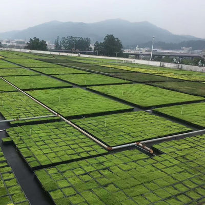 플라스틱 녹색 지붕 직사각형 정원 트레이 4 평방 단위와 꽃 냄비 500x500mm