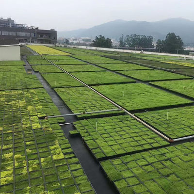 플라스틱 녹색 지붕 직사각형 정원 트레이 4 평방 단위와 꽃 냄비 500x500mm